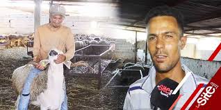 Bakra eid observes every year in the month of the islamic date of zulhijjah 10. Aid Al Adha 2021 Voici Le Prix Du Mouton Cette Annee Video