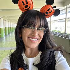 Are you a regular solo day goer at Disneyland?