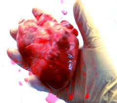 It is set in toronto, ontario and. 15folds Squeeze February2013 Gif Find On Gifer