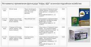 Фунгицид «Хорус» для винограда: инструкция по применению, срок ожидания и дозировка