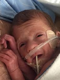 Fundraiser by Veronica Ballard : Oh My Darlin' Clementine