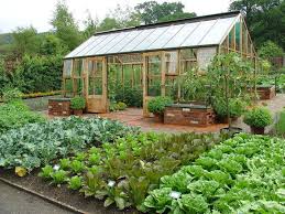 Raised Beds Of Veggies I Would Love To Have This And The Green House Too Put A Big Fence Around It All With Garten Hinterhof Gemusegarten Garten Gewachshaus
