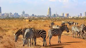 Introduction getting there getting around people neighborhoods history government public safety economy environment shoppping education health care media sports parks and recreation. Nairobi Attractions Sightseeing I Tourlane