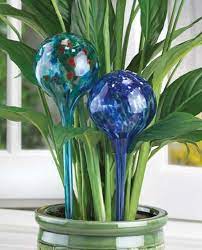 Verschicken sie traumhafte blumengrüße von blume2000.de. Bonanza Find Everything But The Ordinary Watering Globe Watering Bulbs Water Globes