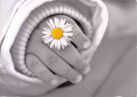 Black And White Picture With Color Accents Black And White Photos With Color Accents Bing Images Color Splash Photography Color Splash Black And White Pictures