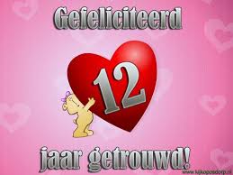 Getrouwd Beer 12schattig Beertje Met Hartgefeliciteerd 12 Jaar Getrouwd Huwelijksverjaardag Kaarten Gefeliciteerd Gefeliciteerd 30