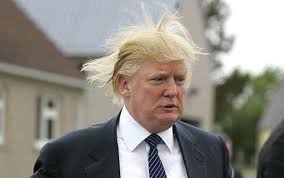 Image result for haircut Donald Trump
