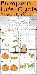 pumpkin life cycle worksheets prek 3rd 123 homeschool 4 me