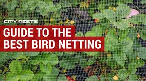 Once the netting is over the frame, roll the edges under at the bottom and secure around it at regular intervals with the weed mat pins. Best Bird Netting Reviews Protect Your Garden Plants Bird Control