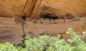 Maybe you would like to learn more about one of these? Navajo National Monument Grand Canyon Trust
