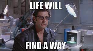 Malcom Jurassic Park Quickmeme