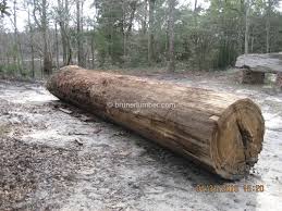 Image result for log