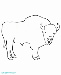 These enormous animals stand 6 to 7 feet tall and up to 12 feet long and can weigh up to 2000 pounds. Buffalo Coloring Page Coloring Home
