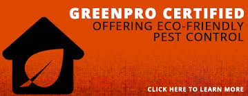 Big time pest control is one of the most renowned pest control services in redding, ca. Big Time Pest Control Northern California Exterminators