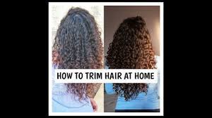 Further, the unused sebum ends up sitting on the scalp. How To Trim Curly Hair At Home Get Rid Of Dead Ends And Damaged Hair Indian Curly Hair Youtube