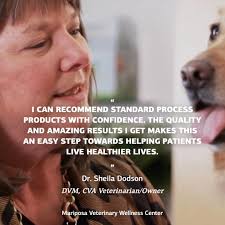 Dr. Sheila Dodson knows that the right supplements can make all the  difference in her patients' health. Standard Process products have become a  trusted part of her veterinary practice, helping pets live