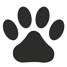Free Download 10 Desktop Wallpapers For Dog Lovers Desktop Wallpaper Free Desktop Wallpaper Wallpaper