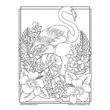 Find high quality flamingo coloring page, all coloring page images can be downloaded for free for personal use only. Flamingo Summer Coloring Bliss Page Bird Coloring Pages Flamingo Coloring Page Summer Coloring Pages