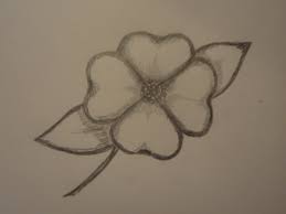See more ideas about pictures to draw, drawings, art drawings. How To Draw A Dogwood Flower Feltmagnet