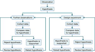 scientific method tutorial the scientific method