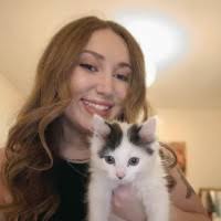 90+ "Rennard" profiles