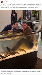 Pin By Jess Mosqueda On Marvel Marvel Memes Marvel Funny Detroit Become Human