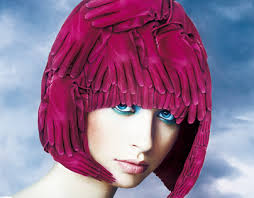 Apumanque Projects :: Photos, videos, logos, illustrations and branding ::  Behance