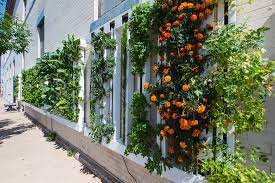 Farm Wall Zipgrow