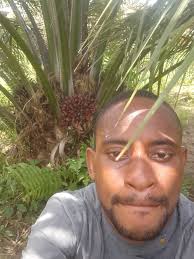 Malaysian coconuts are bigger than Indian coconuts