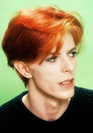 The Man Who Fell To Earth David Bowie David Bowie Redheads Bowie