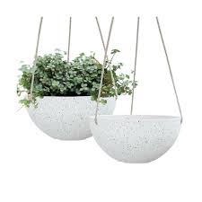 In general, be on the lookout for designs. Resin Plant Containers With Drain Hole 8 6 Inch 1 Pack Speckled White Flower Pots Outdoor Indoor Garden Planters Planters Pots Planters Container Accessories Fcteutonia05 De