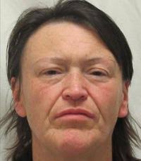 Authorities: Local woman tased and arrested after leading police