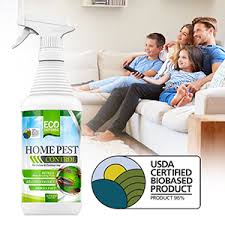 If the pets have to be at home, this method can be used but restricted to higher places or gaps where pets are unable to come into contact with. Amazon Com Eco Defense Usda Biobased Pest Control Spray Ant Roach Spider Bug Killer And Repellent Natural Indoor Outdoor Bug Spray Child Pet Friendly Garden Outdoor