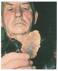 Joe Simonton's Instagram, Twitter & Facebook