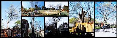 Whether the tree needs to be brought back to health, trimmed, moved to a different location or cut down, our overland park tree service is the one to call for immediate corrective action. Mooresaffordabletreeservice Com Kansas City Missouri Overland Park Kansas