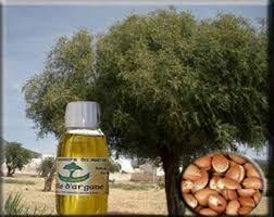 زيت شجرة الأركان (الزيت المعجزة) | Argan oil, Oils, Cicatrix