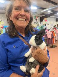 Horse Sense Tack and Feed, LLC