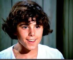 Shannon Pavlansky-Wojtowicz served just a year of her sentence, after being  convicted of having sex with 3 students.