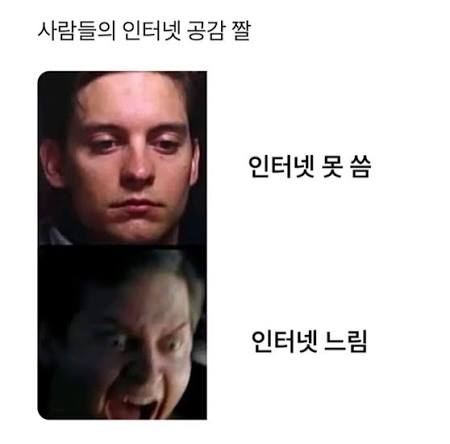 오늘의 짤 모음 ㅋㅋㅋㅋㅋ . . #유머 #유머짤 #유머스타그램 #유머글 #웃긴짤 #웃긴 #웃긴동영상 #웃긴글 #웃긴사진 #인터넷  #탐지견