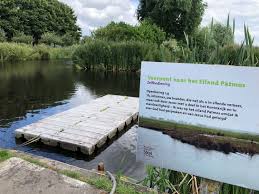 Bildergebnis für Kaag)