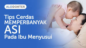 Cara paling efektif untuk menggemukkan badan ialah dengan rutin minum susu. Cara Memperbanyak Asi Untuk Mencukupi Kebutuhan Bayi Alodokter
