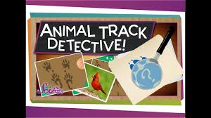 Mammals have four limbs but vary in form depending on the environment in which they live. Animal Track Detective Science For Kids Youtube
