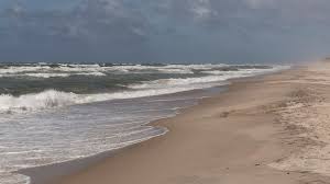 Koletzko s., niggemann b., arato a., dias j. Husby Klitplantage Sehenwurdigkeiten