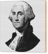 President George Washington Graphic