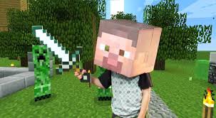 Amazon.Com: Minecraft Steve Head : Toys & Games