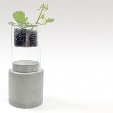 greenology 玻璃塔配水泥底座 小 greenology 植栽 盆栽 pinkoi crafts decor home decor