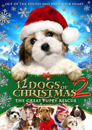 Download christmas puppy stock photos. 12 Dogs Of Christmas Great Puppy Rescue 2012