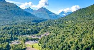 Palmer is a city of 7,500 people 42 miles northeast of anchorage on the glenn highway in southcentral alaska. Palmer Ak Homes For Sale Real Estate Mls Listings In Palmer Ak