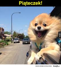 Record and instantly share video messages from your browser. Piatunio Ministerstwo Smiesznych Obrazkow Kwejk Pl