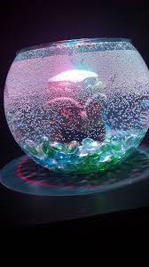Betta Fish Tank Has Tons If Bubbles On Walls My Aquarium Club